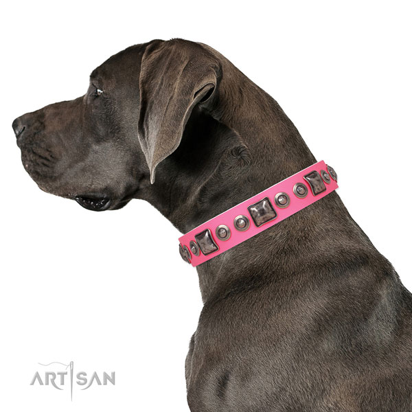 Amazing adorned leather dog collar