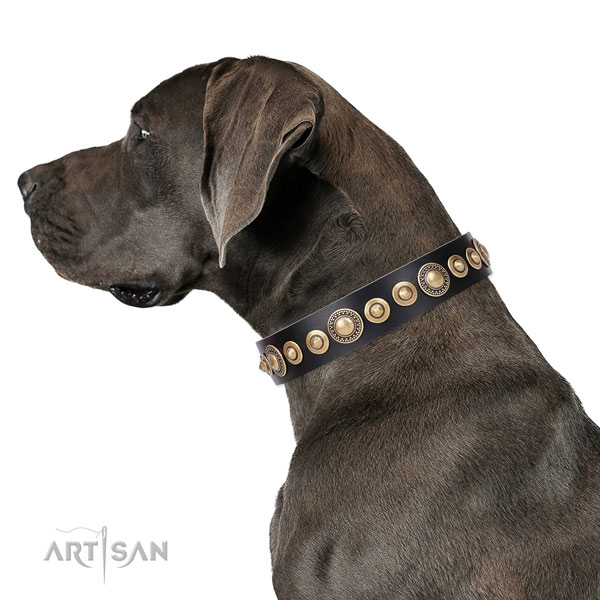 Unusual decorated natural leather dog collar