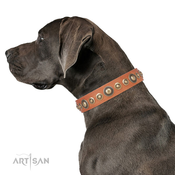 Strong buckle and D-ring on genuine leather dog collar for everyday use