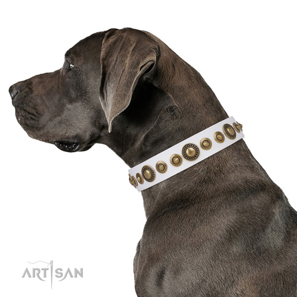 Durable buckle and D-ring on natural leather dog collar for walking in style