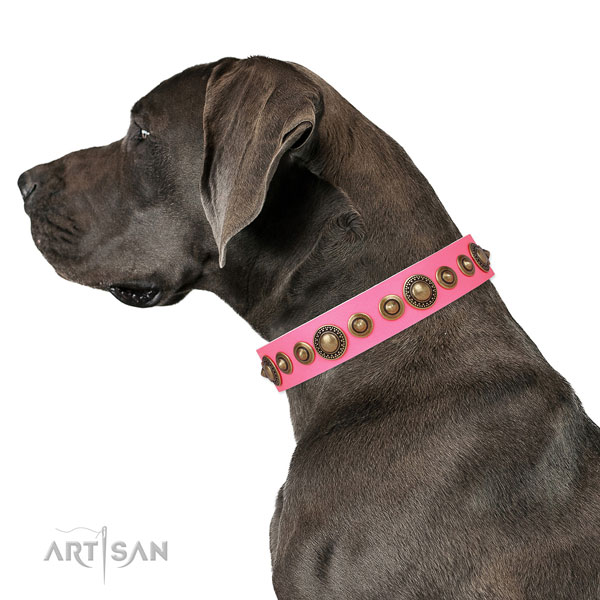 Rust-proof buckle and D-ring on full grain leather dog collar for daily walking
