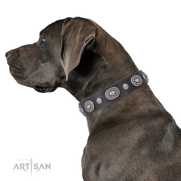 Durable buckle and D-ring on leather dog collar for stylish walking