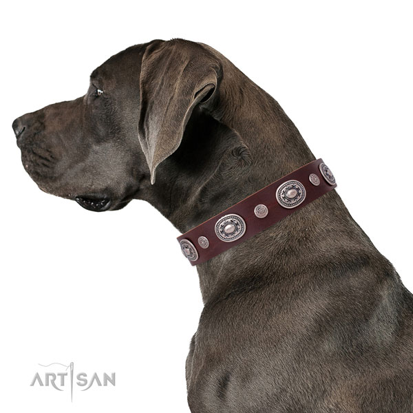 Reliable buckle and D-ring on genuine leather dog collar for walking in style