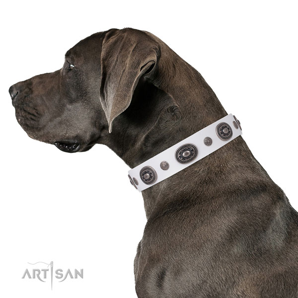 Leather dog collar with reliable buckle and D-ring for everyday walking