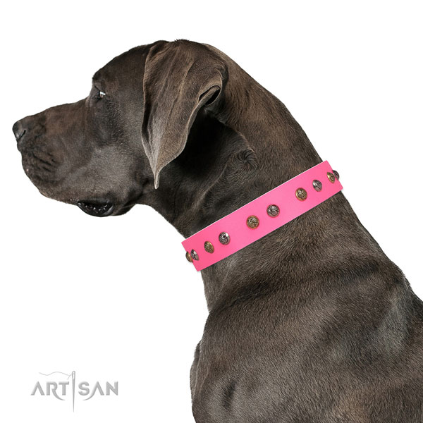 Comfy wearing embellished dog collar made of strong genuine leather