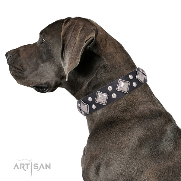 Comfy wearing embellished dog collar made of strong genuine leather