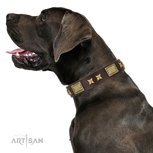 Stylish walking dog collar with inimitable decorations