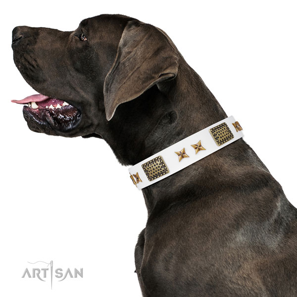 Remarkable studs on everyday walking genuine leather dog collar