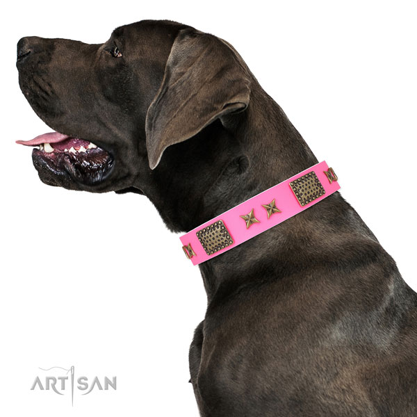 Extraordinary embellishments on daily walking full grain natural leather dog collar