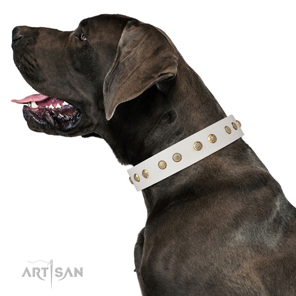 Fashionable adornments on everyday use natural genuine leather dog collar