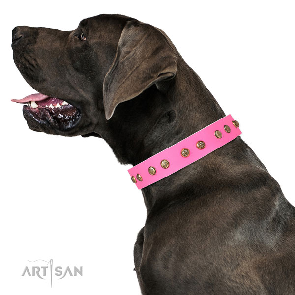 Impressive decorations on walking natural genuine leather dog collar