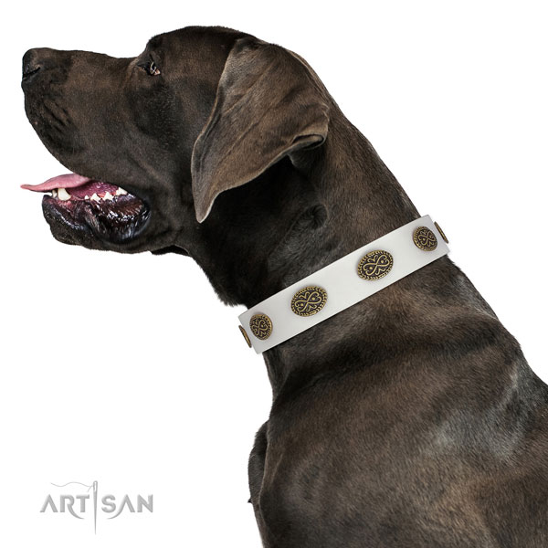 Inimitable decorations on handy use full grain genuine leather dog collar
