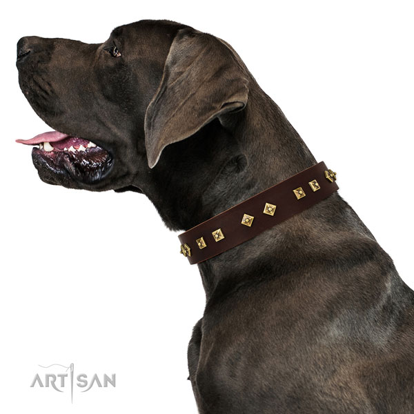 Fashionable studs on daily use full grain natural leather dog collar