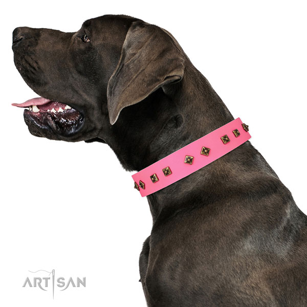 Unique decorations on daily use dog collar