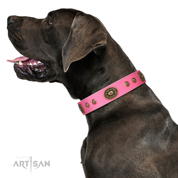 Stunning embellishments on comfy wearing dog collar