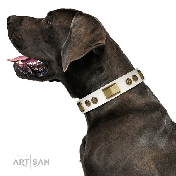 Top notch stylish walking dog collar of natural leather