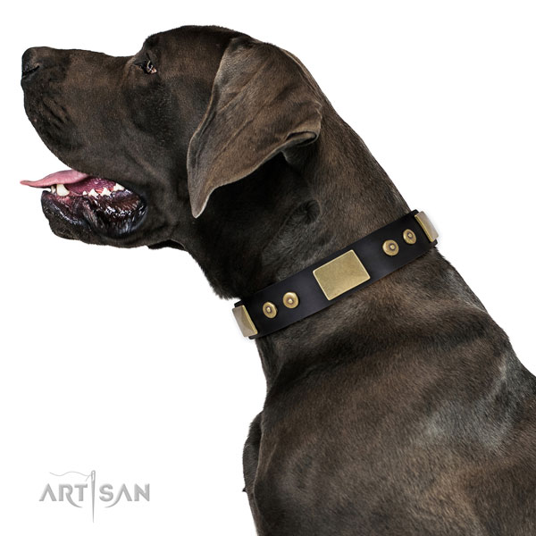 Durable daily use dog collar of leather