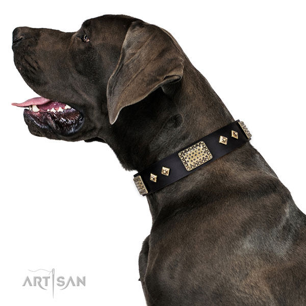 Top rate easy wearing dog collar of natural leather