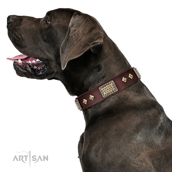 Reliable everyday use dog collar of natural leather