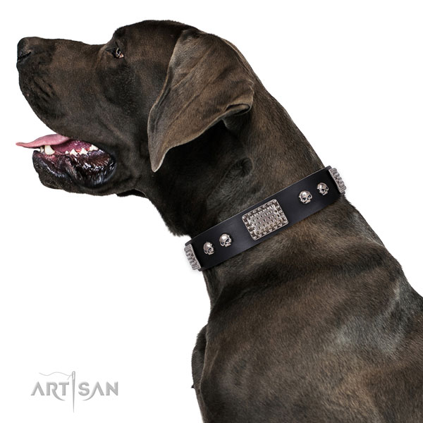 Unusual full grain natural leather collar for your attractive canine