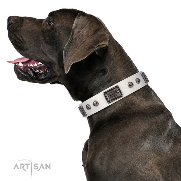 Handcrafted full grain leather collar for your stylish four-legged friend