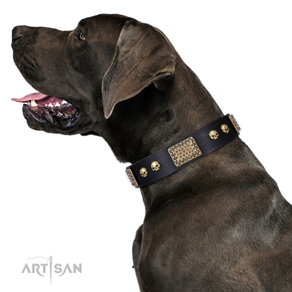 Adjustable leather collar for your beautiful dog