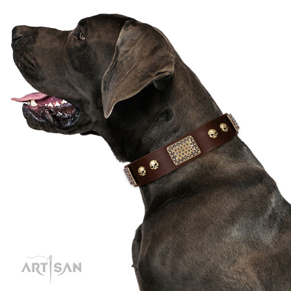 Corrosion proof traditional buckle on full grain genuine leather dog collar for comfy wearing