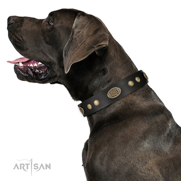 Rust resistant fittings on leather dog collar for comfy wearing