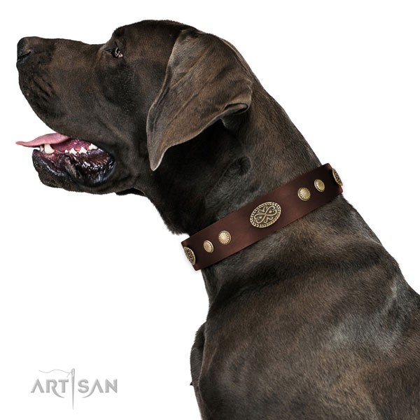 Rust resistant fittings on full grain leather dog collar for daily walking