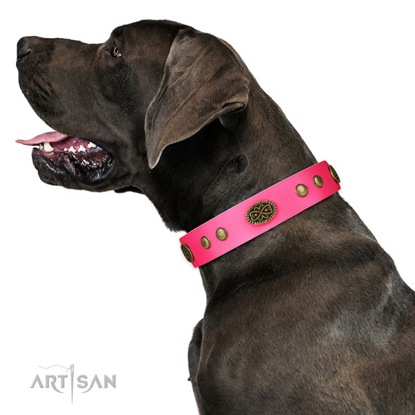 Rust-proof D-ring on natural leather dog collar for stylish walking