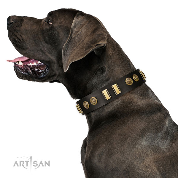 Rust resistant buckle on natural leather dog collar for basic training