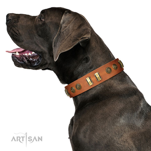 Rust resistant buckle on natural leather dog collar for walking