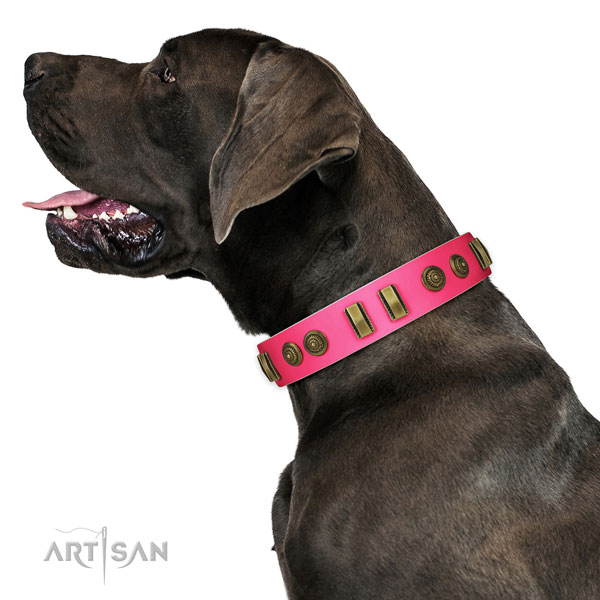 Daily walking dog collar of leather with designer studs