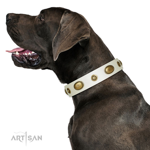Everyday use dog collar of natural leather with trendy embellishments