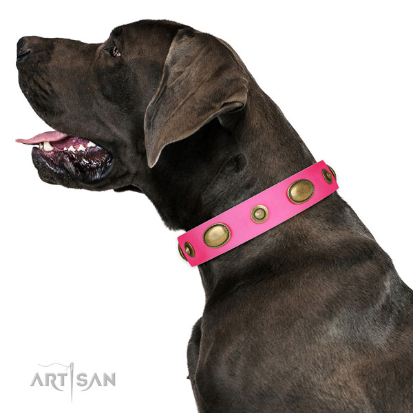 Easy wearing dog collar of leather with remarkable decorations