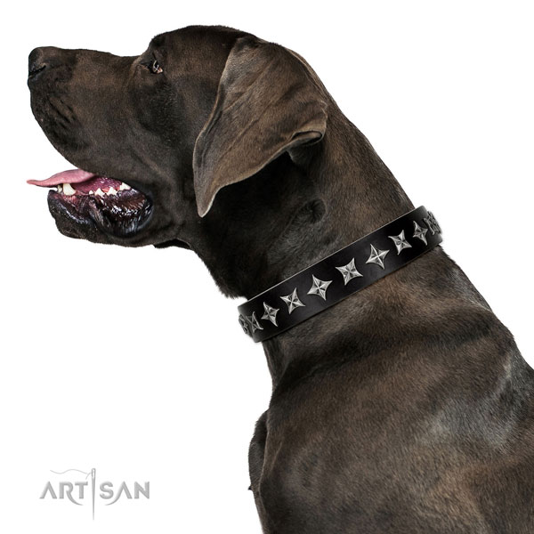 Basic training decorated dog collar of top quality natural leather