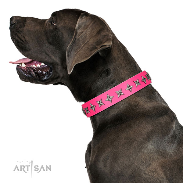 Fine quality full grain genuine leather dog collar with unique studs