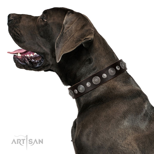 Full grain leather collar with durable D-ring for your beautiful four-legged friend