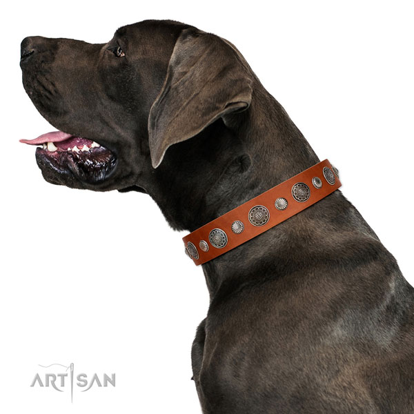 Convenient full grain leather dog collar with corrosion resistant traditional buckle