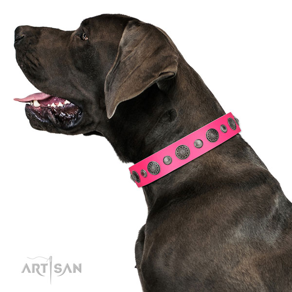 Fine quality leather dog collar with rust resistant D-ring