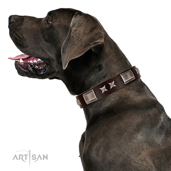 Amazing collar of genuine leather for your attractive doggie
