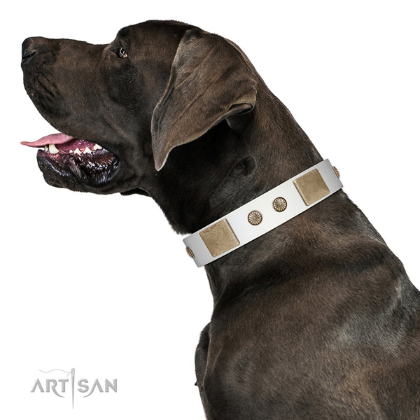 Durable traditional buckle on leather dog collar for daily walking