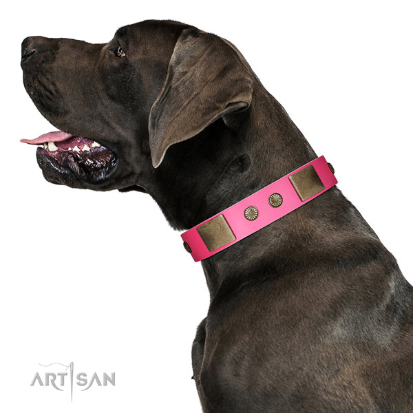 Corrosion proof traditional buckle on full grain genuine leather dog collar for comfy wearing