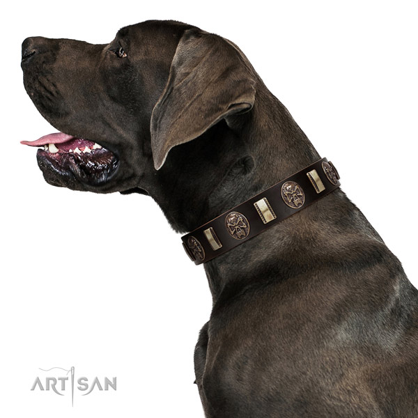 Full grain natural leather collar with decorations for your lovely dog