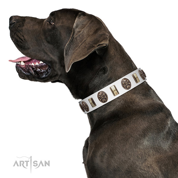 Full grain genuine leather dog collar with significant embellishments