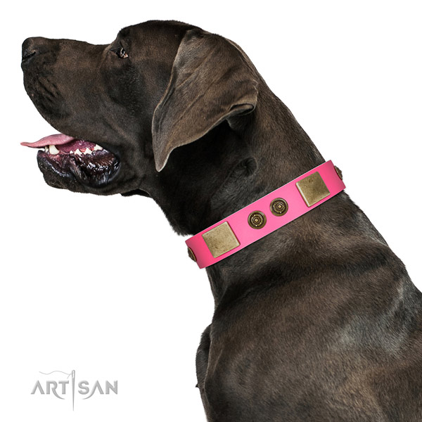 Adorned dog collar created for your stylish doggie