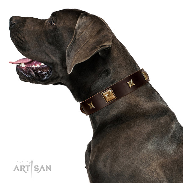 Exceptional genuine leather dog collar with decorations