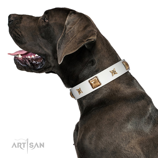 Adorned full grain leather dog collar with adornments