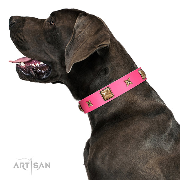 Full grain genuine leather dog collar of top notch material with impressive studs