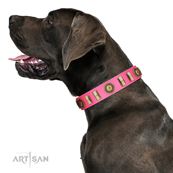 Incredible full grain leather dog collar with strong hardware